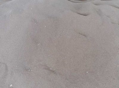 Calcined-Magnesia-Carbone-Dust-&-Grains-04