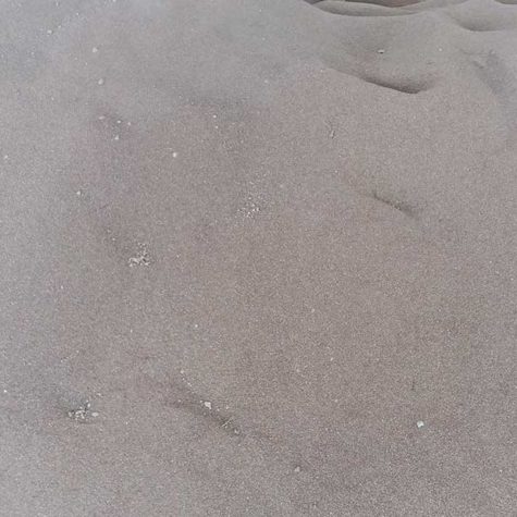 Calcined-Magnesia-Carbone-Dust-&-Grains-04